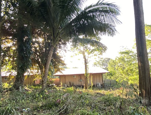 1252 sqm Residential Overlooking Lot For Sale in Samal Davao del Norte