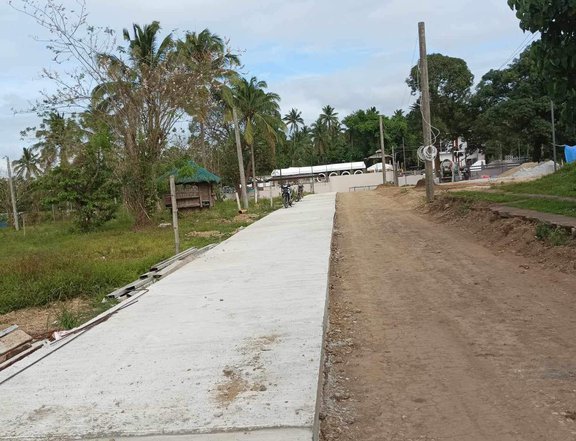 351 sqm Residential Farm For Sale in Alfonso Cavite