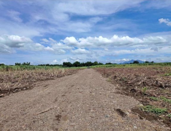 RESIDENTIAL FARM LOT FOR SALE IN TUY BATANGAS