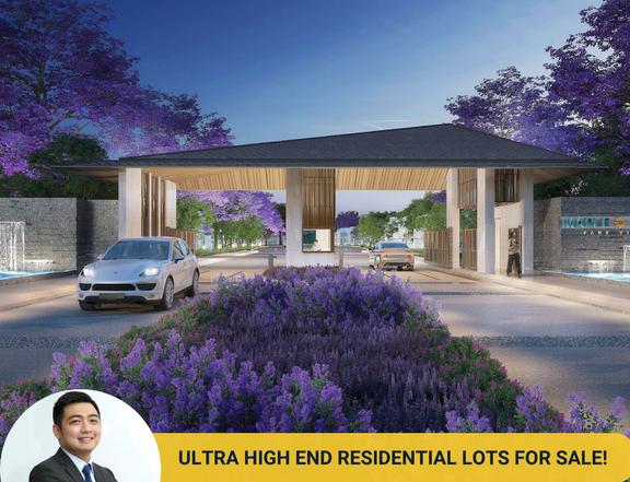 ULTRA HIGH END RESIDENTIAL LOT IN MAPLE GROVE FOR SALE | +63 917527400
