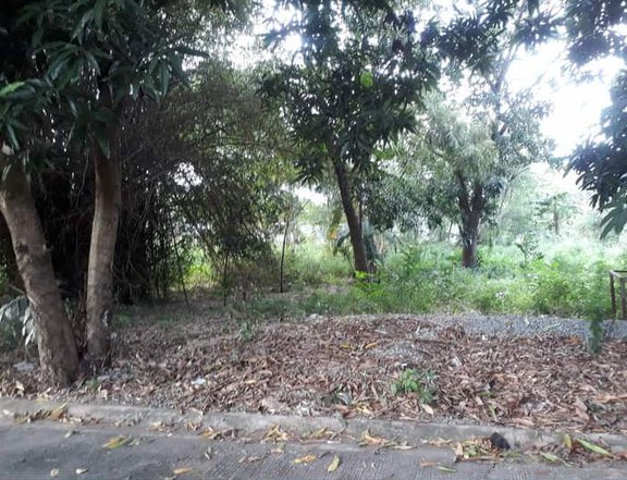 261 SQM RESIDENTIAL LOT at TOWN AND COUNTRY WEST SUBDIVISION IN MOLINO III BACOOR CAVITE