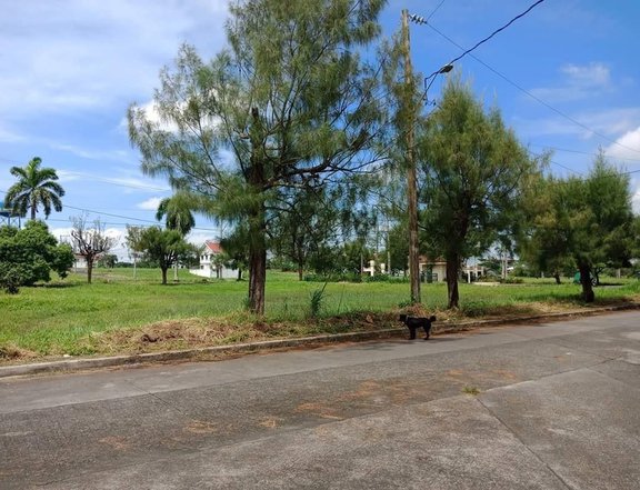 150 sqm residential lots for sale at Metro South General Trias Cavite