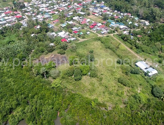"Mangrove Paradise: Stunning Bay View Lot for Sale"