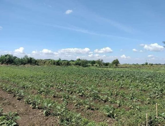1000 sqm Residential Farm for Sale in Sta Ana Pampanga