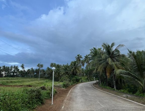 Farmlot located at San Isidro Casiguran