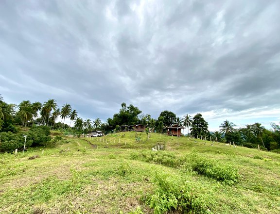 9-Hectare FARM LOT FOR SALE in Catmon, Cebu