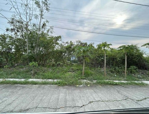 148 sqm Lot for Sale in Southcrest Hills, Tanza Cavite