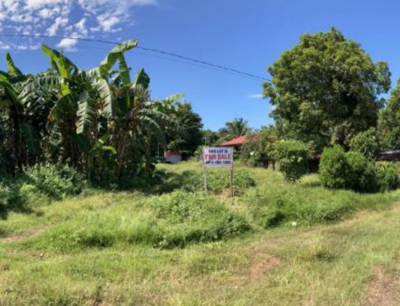 Land For Sale, Clean Title on Hand