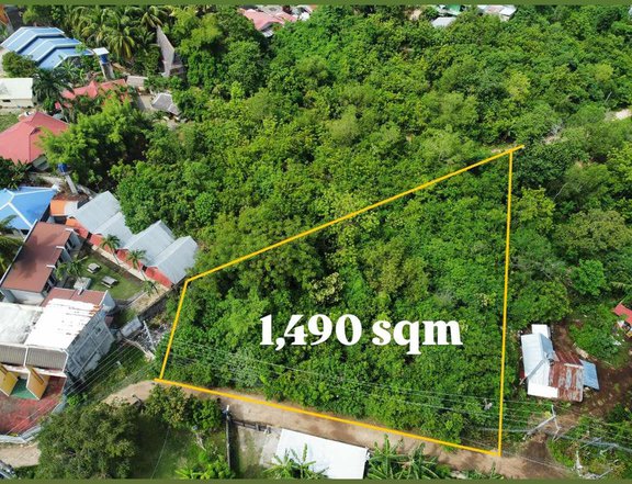 COMMERCIAL LOT FOR SALE WALKING DISTANCE TO ALONA PANGLAO