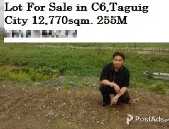 I'm Selling Residential/Commercial Lot in Along C6 Highway,Brgy. Hagonoy Taguig City 12,770sqm. 255M