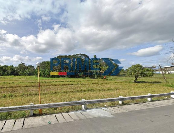 LEASE NOw! 2.61 hectares Commercial Lot in Santa Manial, Bulacan