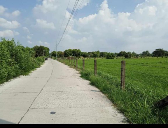 FOR SALE 18.4 Hectares  Residential, Industrial/Agricultural lot  Balibago 2, Tarlac City