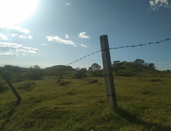 Overlooking Farm