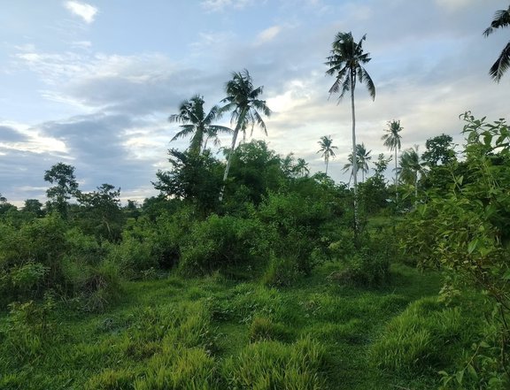 Lot for sale 1.3 hectare clean title along river..