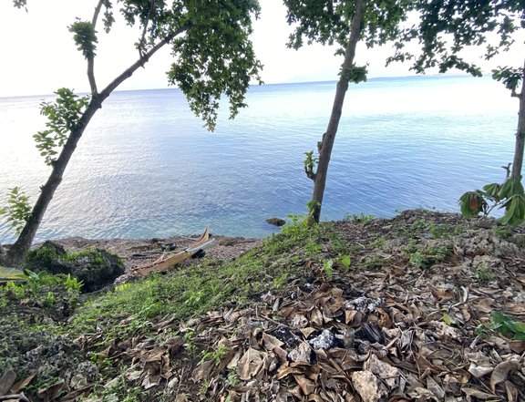 2.47 Hectares  Beach Property For Sale in Samal Island Davao