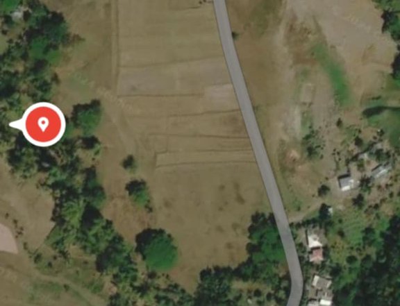 Foreclosed 3 Hectres farm lot for sale in Lambunao Iloilo