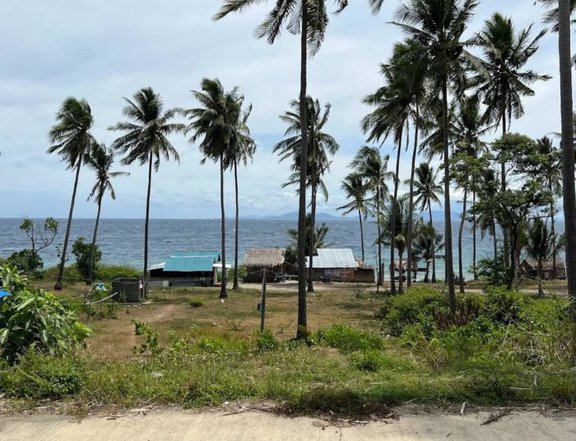 FOR SALE RAWLAND IN MINDORO WITH POSSIBLE EXPANSION TO SHORELINE ADJACENT TO KASAY BEACh