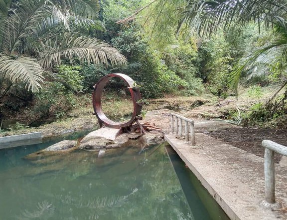 FARM WITH ILOG FOR SALE IN ALFONSO