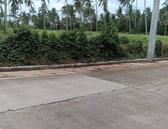 Subdivided Titled Residential Farm lot for sale in Magallanes Cavite
