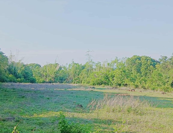 Titled 1.93 hectares Raw Land For Sale in Zamboanguita Negros Oriental