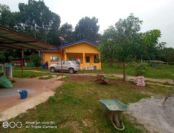 RUSH! 5000SQM. FARM HOUSE FOR SALE CLEAN TITLE INDANG CAVITE