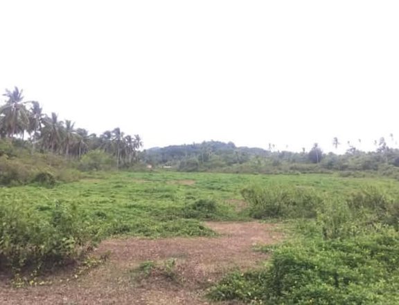 14.4 hectares Residential Farm For Sale in Siargao Island