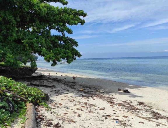 15 hectares Beach Property For Sale in Samal  Island, Davao del Norte, Philippines