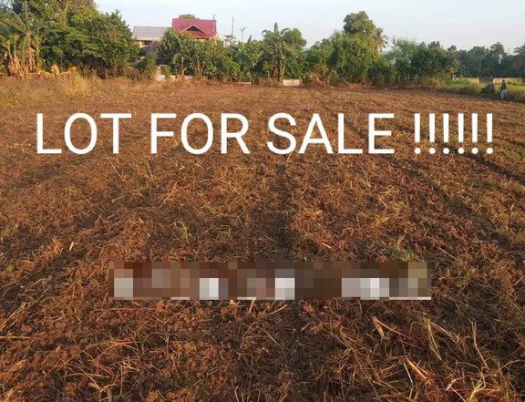 FARM LOT FOR SALE WITH MOTHER TITLE
