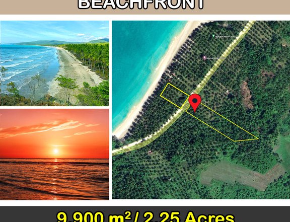 9,900 m2 / 2.44 Acres West Coast Paradise Properties