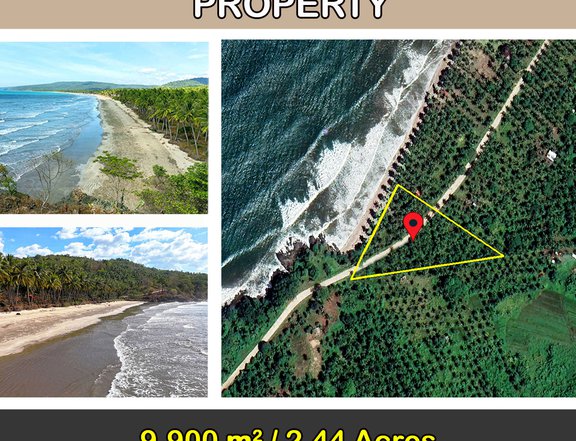 9,900 m2 / 2.44 Acres West Coast Paradise Properties