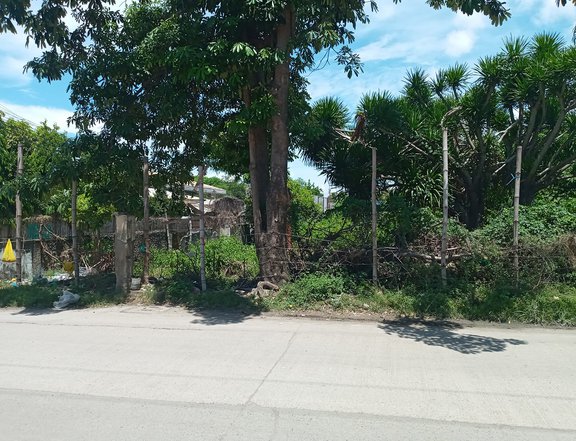 1078 sqm Commercial Lot For Sale in Lapu-Lapu (Opon) Cebu