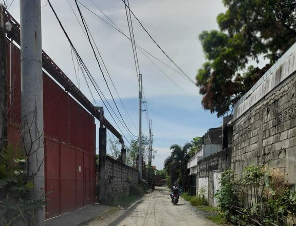 Industrial Lot for Sale in Paranaque JS202503020