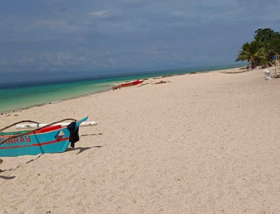 Pre-selling 183 sqm Beach Property For Sale in Moalboal Cebu