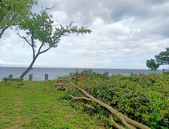 Pre-selling 187 sqm Beach Property For Sale in Alcoy Cebu