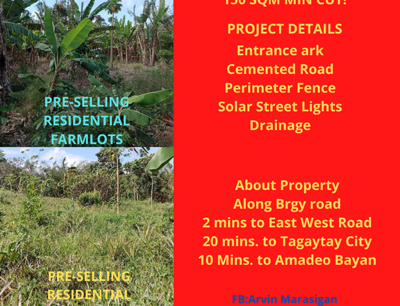Residential Farmlot for sale in amadeo cavite