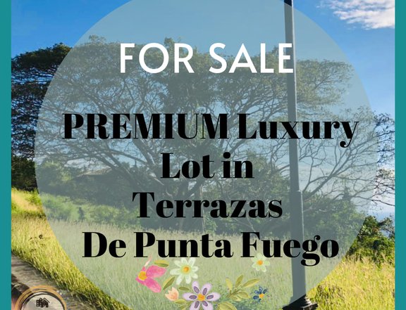 842 sqm Residential Lot For Sale in Terrazas de punta fuego