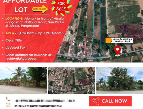 Affordable lot along/in front of Alcala Pangasinan National Highway