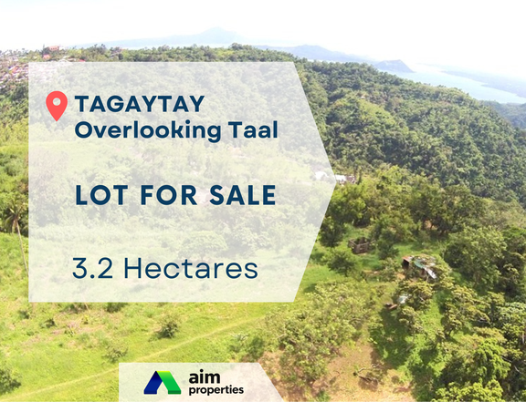 3.23 Hectares Lot For Sale in Tagaytay, Cavite - with Clean Title