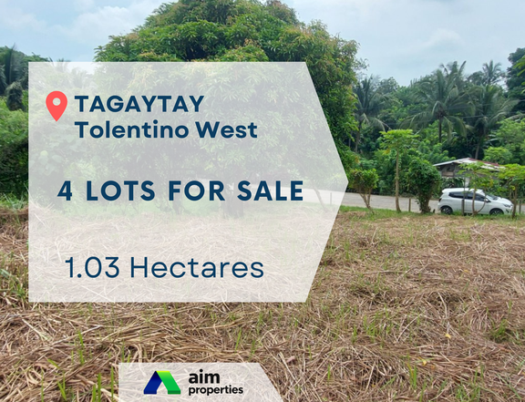 1.03 hectares Residential Lot For Sale