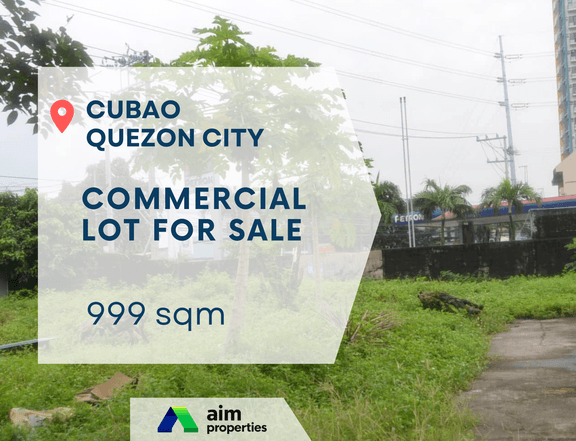 Commercial Vacant Lot for Sale in Cubao Quezon City - Ideal for Warehouse, Gasoline or Food Outlet