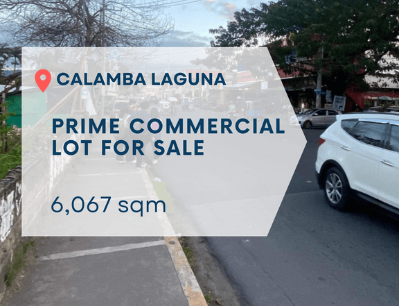 6,067 sqm Prime Commercial Lot For Sale in Calamba Laguna