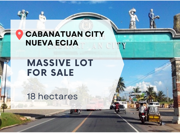 18 hectares Vacant Lot For Sale in Cabanatuan Nueva Ecija