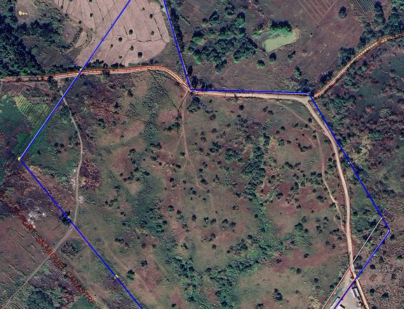 17.59 hectares Farm Lot For Sale in San Miguel Bulacan