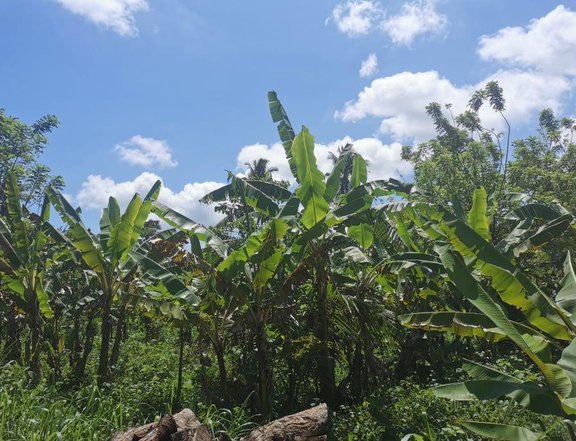 Titled 1.75 Hectares of Agricultural Lot for Sale in Alfonso, Cavite