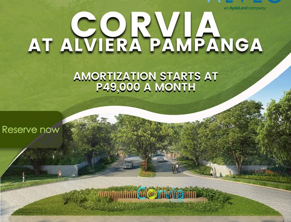 270 sqm Residential Lot For Sale in Alviera Porac Pampanga | Alveo