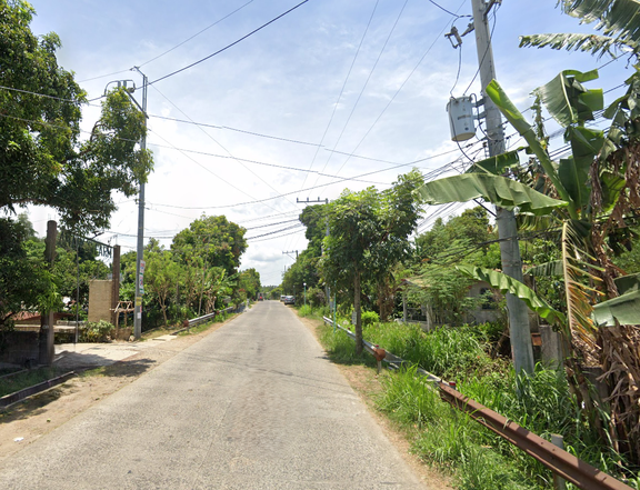 1000 sqm. Agricultural Farm Lot for Sale in Alfonso, Cavite at Amara's Farm