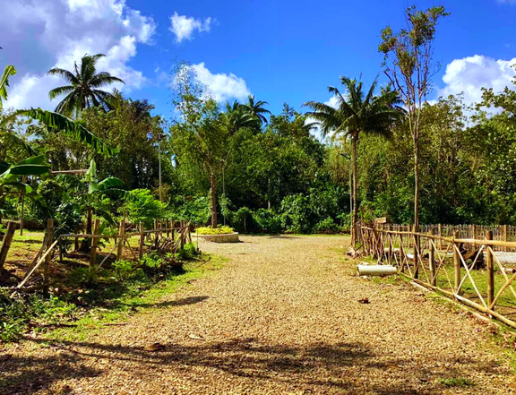 1000 sqm Farm lot - Residential and retirement in Alfonso Cavite
