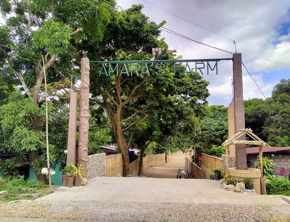 Farm Lot for sale - For Residential farming investment near Tagaytay