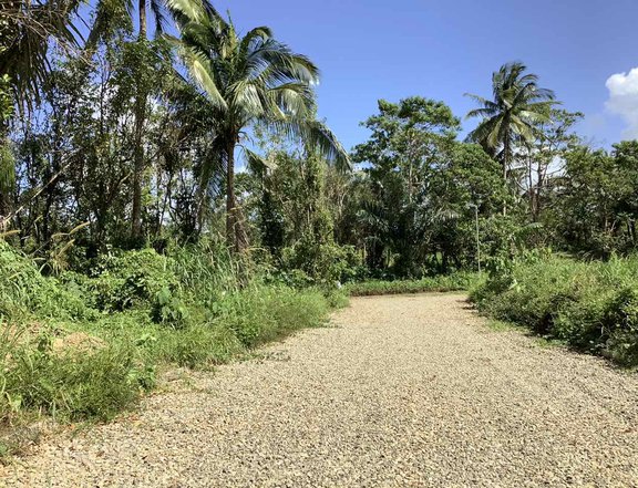 Lot Titled for Farm and Residential for sale