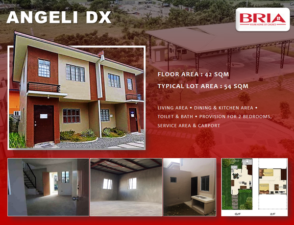 BRIA HOMES PILI CAMARINES SUR HOUSE AND LOT - ANGELI DX